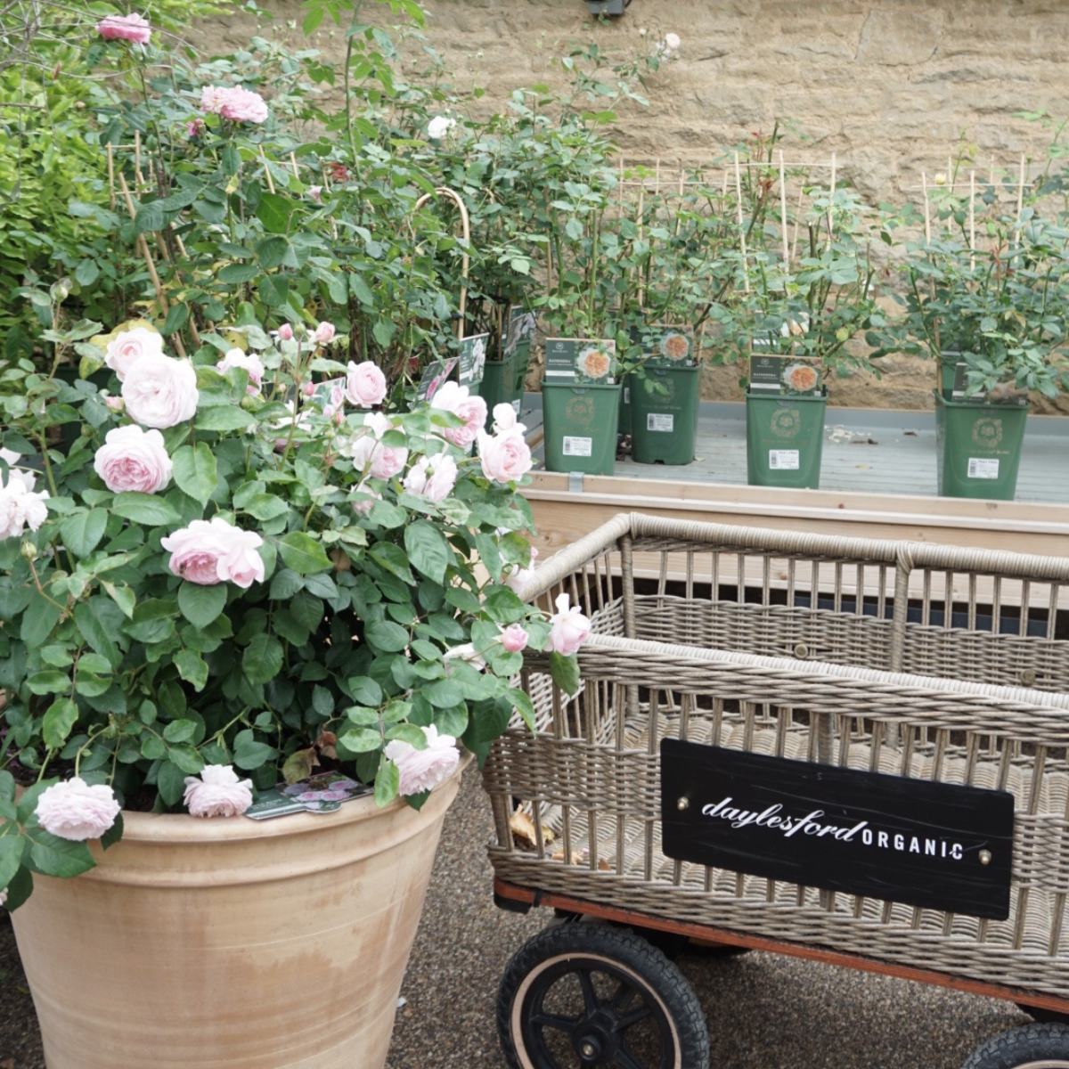 Daylesford Organic Farm Garden Basket Trolley 