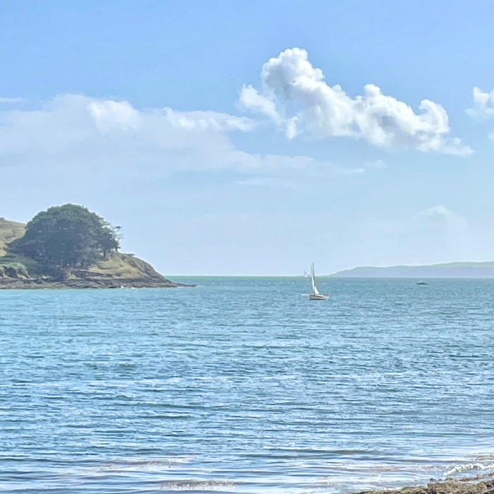 Falmouth To St Mawes Boat Trip