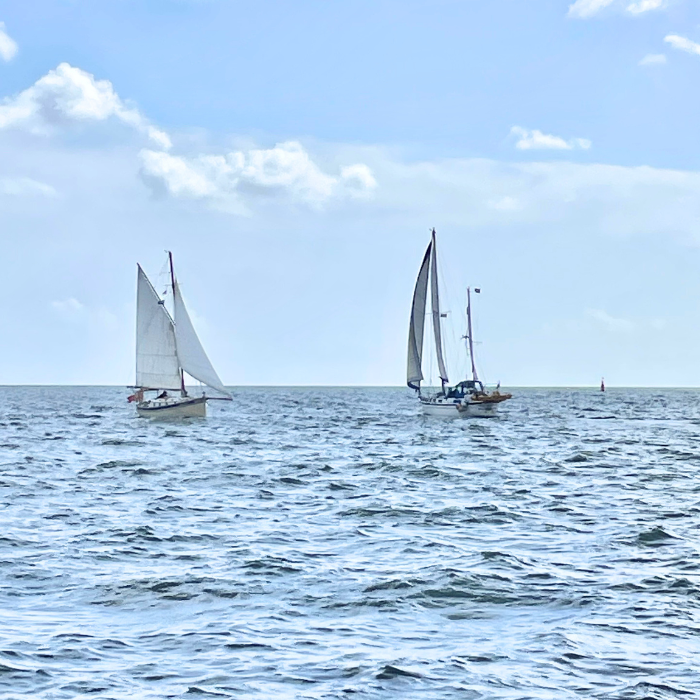 Cornwall Summer in 2025: Two Weeks of Freedom