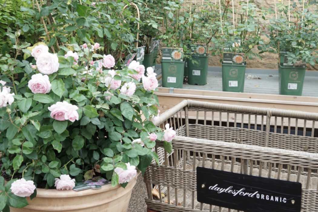 A Visit To Daylesford Organic Farm