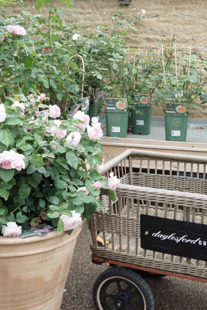A Visit To Daylesford Organic Farm